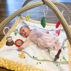 JumpOff Jo – Infant Activity Gym and Baby Play Mat – Ages 0-18 mo. – Sloth