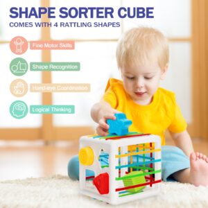 Baby Toys 6 to 12 Months, 5 In 1 Montessori Toys for 1 Year Old, Incl Travel Pull String Toy & Shape Sorter & Stacking Baby Block & Soft Infant Ring & Sensory Ball for Toddler 0-3-6-9-12 Month