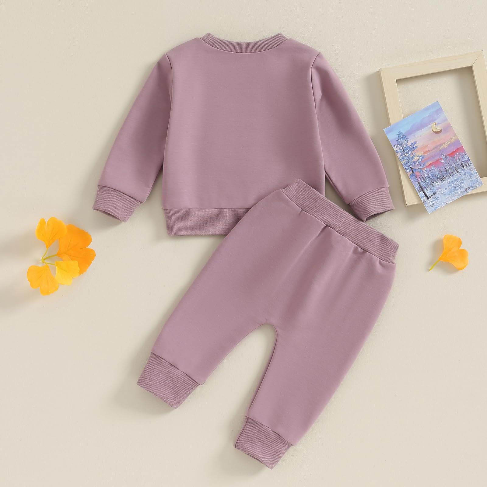 FIOMVA Daddys Girl Baby Clothes Toddler Fall Winter Outfits Sweatshirt Pants 2 Piece Set Shirt Sweatpants Suit (H Embroidered Daddy's Girl Purple, 18-24 Months)