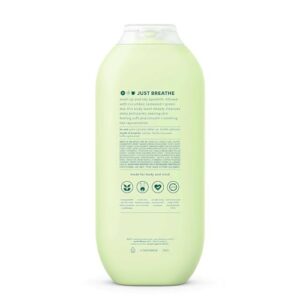 Method Body Wash, Daily Zen, Paraben and Phthalate Free, 18 oz (Pack of 6)