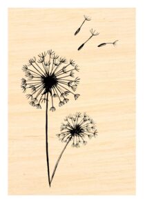 dandelions rubber stamp p53