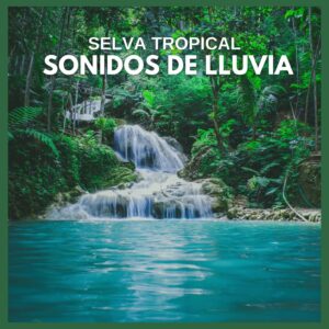 selva tropical: sonidos de lluvia (p53)