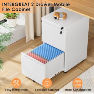 INTERGREAT 2 Drawer File Cabinet, Assembled Metal Filling Cabinet with Lock, Locking Office Mobile Cabinet with Wheels for Legal/Letter Size, Under Desk, White