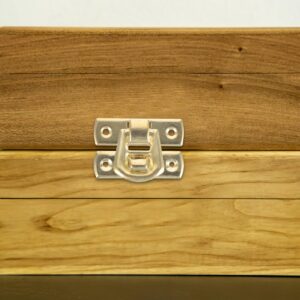 Angoily Box Latch 10pcs Antique Latch Hasps 3x2cm Wooden Box Bucklelock Mini Box Hinges Decorative Lock Buckle for Jewelry Wooden Box and DIY Crafts Secure Hasp Latch