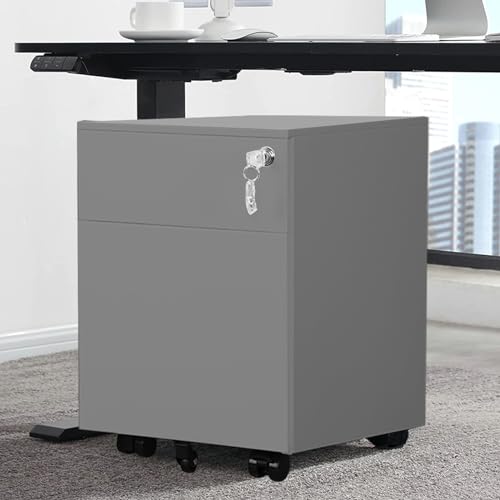 Aienid Steel Grey Cabinet 2 Drawer Mobile File Cabinet with Lock Metal Filing Cabinet for Legal/Letter/A4/F4 Size, Fully Assembled Include Wheels