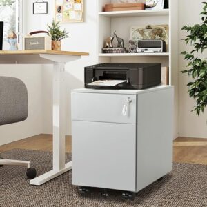 Aienid Steel Grey Cabinet 2 Drawer Mobile File Cabinet with Lock Metal Filing Cabinet for Legal/Letter/A4/F4 Size, Fully Assembled Include Wheels