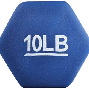 Amazon Basics Neoprene Coated Hexagon Workout Dumbbell Hand Weight, 10 pound, Set of 2, Navy Blue