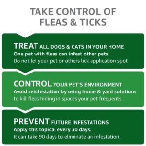 Amazon Basics Flea and Tick Topical Treatment for Cats (over 1.5 pounds), 3 Count (Previously Solimo)