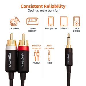 Amazon Basics 3.5 Aux to 2 x RCA Adapters, Audio Cable for Amplifiers, Active Speakers with Gold-Plated Plugs, 15 Feet/4.6 m, Black