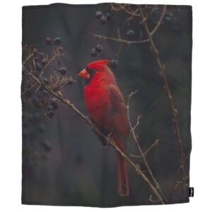 Mugod Red Bird Throw Blanket Northern Cardinal Bird on The Tree Branch Decorative Soft Warm Cozy Flannel Plush Throws Blankets for Baby Toddler Dog Cat 30 X 40 Inch