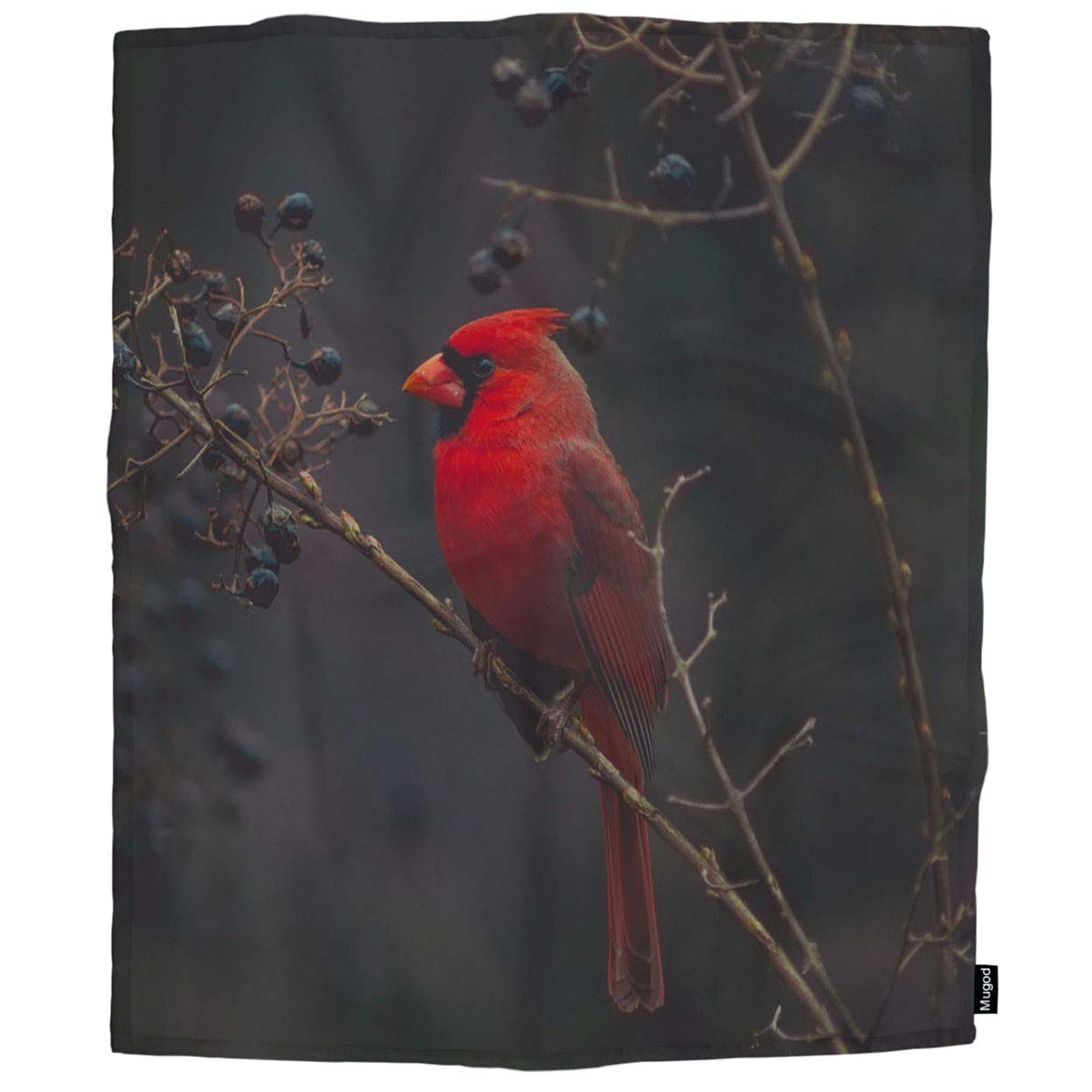 Mugod Red Bird Throw Blanket Northern Cardinal Bird on The Tree Branch Decorative Soft Warm Cozy Flannel Plush Throws Blankets for Baby Toddler Dog Cat 30 X 40 Inch