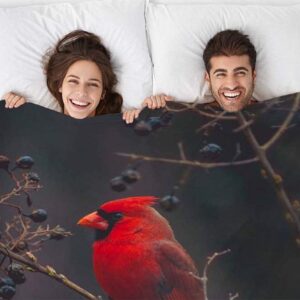 Mugod Red Bird Throw Blanket Northern Cardinal Bird on The Tree Branch Decorative Soft Warm Cozy Flannel Plush Throws Blankets for Baby Toddler Dog Cat 30 X 40 Inch