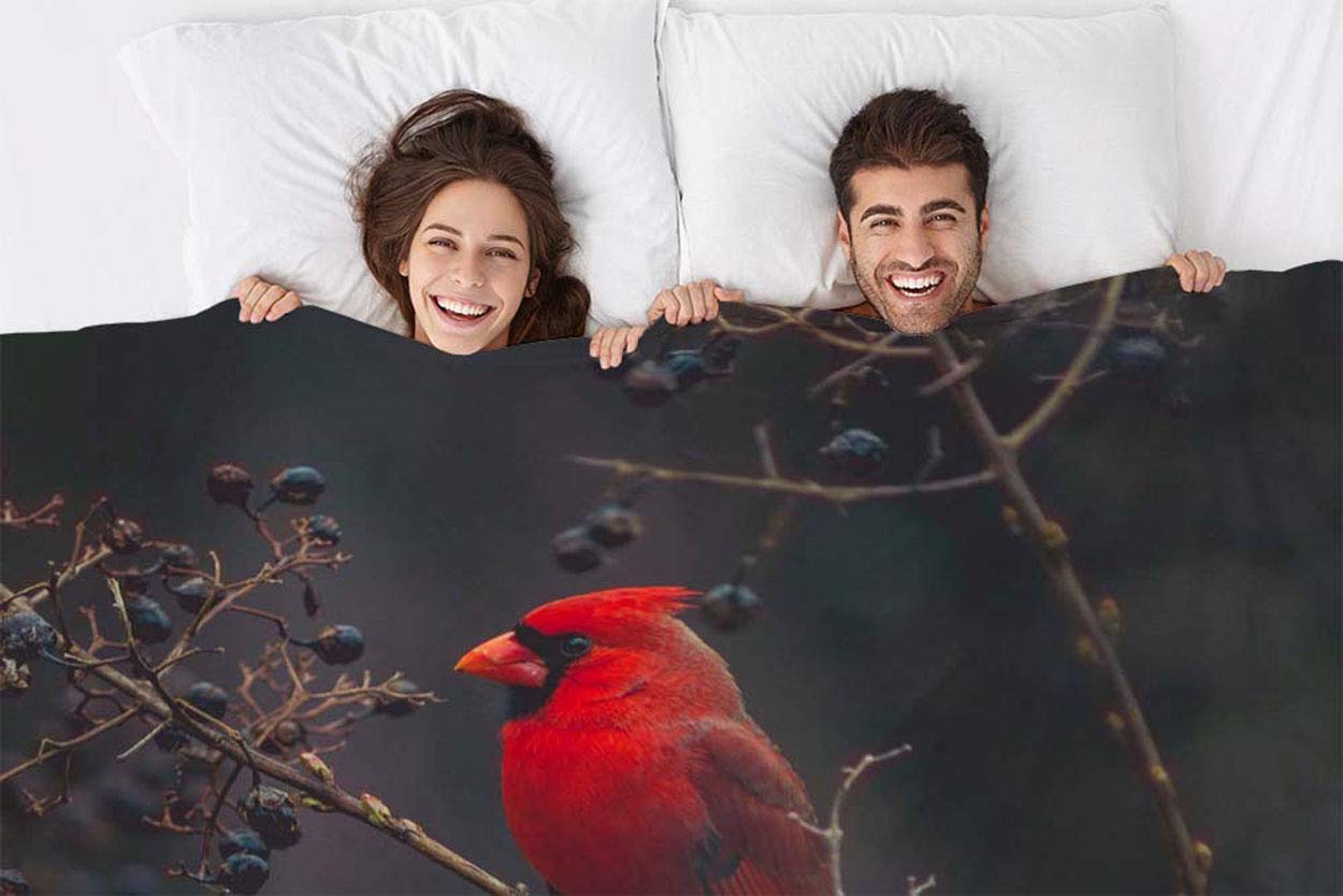 Mugod Red Bird Throw Blanket Northern Cardinal Bird on The Tree Branch Decorative Soft Warm Cozy Flannel Plush Throws Blankets for Baby Toddler Dog Cat 30 X 40 Inch