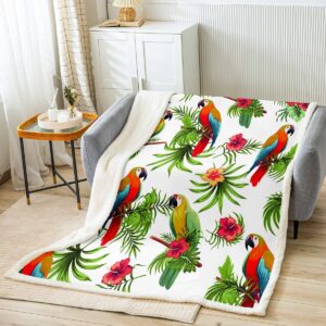 palm leaves fleece throw blanket parrots plush blanket for kids boys girls tropical exotic birds sherpa blanket hibiscus flowers fuzzy blanket for sofa bed couch, colorful room decor baby 30x40 inch