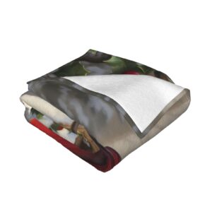 Red Birds Flannel Fleece Throw Blankets, Christmas Super Warm Soft Living Room Blanket All Season (50"x40")