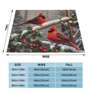 Red Birds Flannel Fleece Throw Blankets, Christmas Super Warm Soft Living Room Blanket All Season (50"x40")