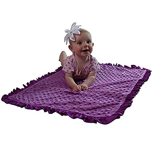 Baby Girls Reversible Minky Velboa Stroller Blanket (Choose Color) (Birds/Violet)