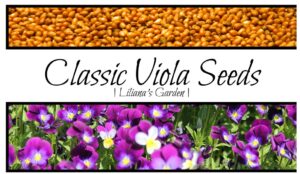 viola seeds – classic viola colors aka “johnny-jump-up” - annual heirloom flower seeds| heirloom seeds by liliana's garden |