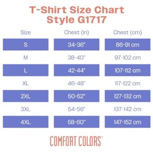 Comfort Colors Adult Short Sleeve Tee, Style G1717, Berry (1-pack), Large