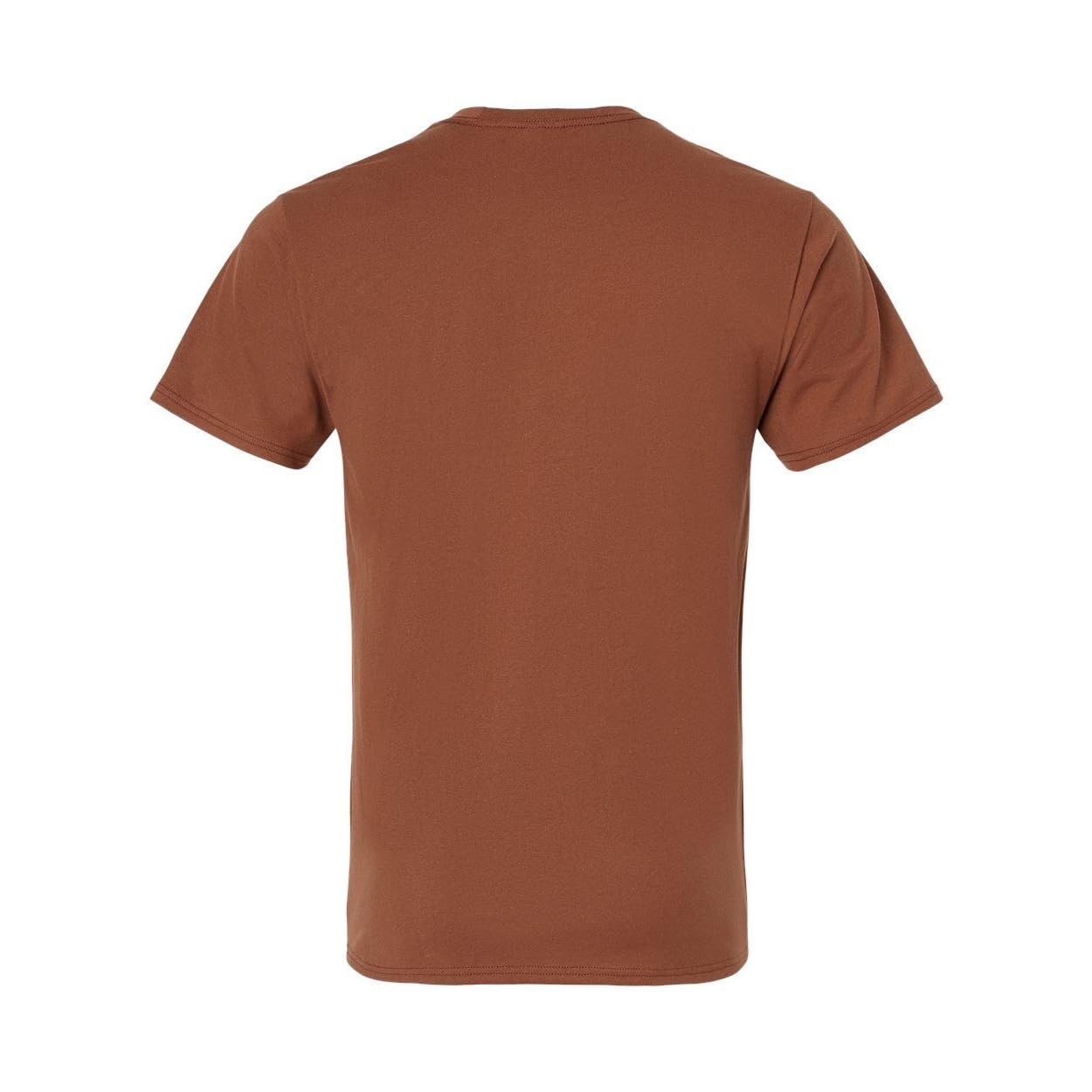 Hanes Mens Nano-T T-Shirt, L, Canyon Rock Brown