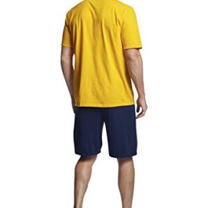 Russell Athletic mens Cotton Performance Short Sleeve T-shirt T Shirt, Gold, Small US