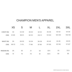 Champion, Classic Long Sleeve, Comfortable, Soft T-Shirt for Men (Reg. or Big & Tall), Granite Heather, Medium