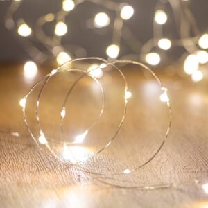 tasodin led fairy lights waterproof 16.4ft string lights battery operated for wedding, home, garden, party, christmas decoration (1pc, warm white 1pc)