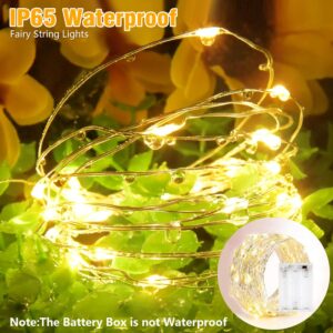 Tasodin led Fairy Lights Waterproof 16.4ft String Lights Battery Operated for Wedding, Home, Garden, Party, Christmas Decoration (1pc, Warm White 1pc)