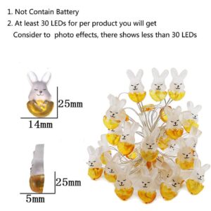 EONLYX Easter Decoration Lights, 10ft 30 LEDs Rabbit Bunny Easter Copper Wire Lights String Battery-Operated Fairy Lights for Bedroom,Wedding