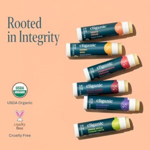 Cliganic Organic Lip Balm Set - 6 Tropical Flavors - 100% Natural Moisturizer for Cracked & Dry Lips (Packaging May Vary)