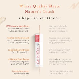 CHAP-LIP 100% All Natural Lip Balm Hydrating Bulk Chap Stick with Fruit Flavors, Coconut Oil, and Cocoa Butter - Lip Therapy Pack for Men and Women - Gift Set Made in the USA, 60 Pack