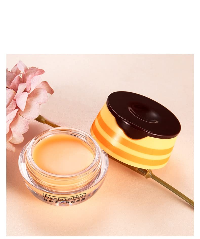 4 Pcs Honey Pot Lip Balm,Lip Moisturizer Exfoliating Hydrating Honeypot Lip Mask.