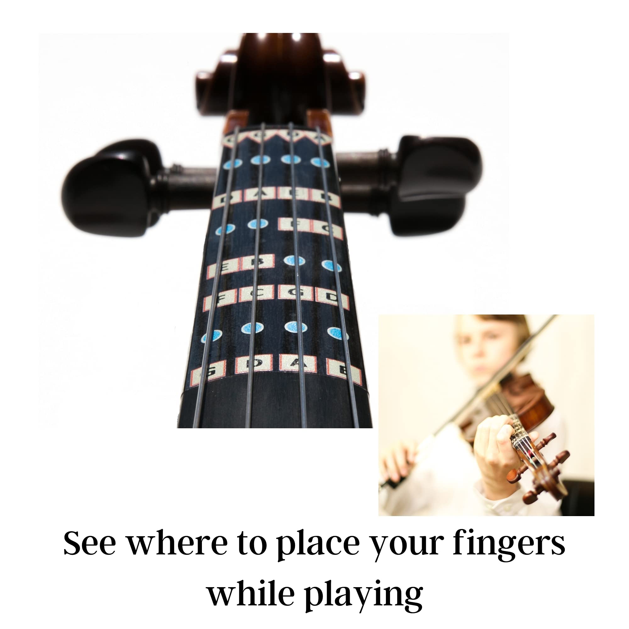 Fantastic Finger Guide for Violas | Stringed Musical Instruments | Fingerboard and Fretboard Stickers for Learning All Notes | Kids/Adult Beginner Viola Finger Guide |14" Size