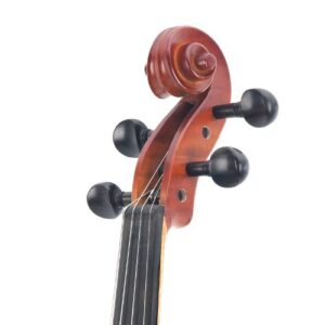 Cecilio CVA-500 Solidwood Ebony Fitted Viola with D'Addario Prelude Strings, Size 14-Inch