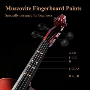 Eastar 1/4 Violin Set for Beginners, Fiddle Quarter Size with Hard Case, Rosin, Shoulder Rest, Bow, and Extra Strings (Imprinted Finger Guide on Fingerboard)， EVA-2