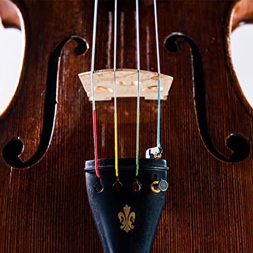 Dr Thomastik Dominant Viola Strings (136)