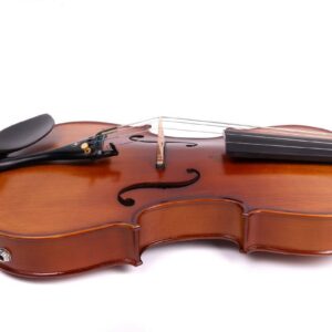 New 16inch Electric Viola Maple Spruce Handmade Ebony Fittings 5 string viola string names FCGDA Electric Viola