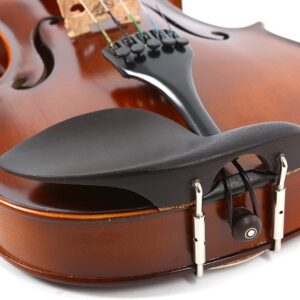 5 String Viola 16 inch Maple Wood Back Spruce Wood Top Ebony Wood Fingerboard & Tailpiece & Chin Rest Full size Viola with Bow and Backpack (5 String 16 inch)