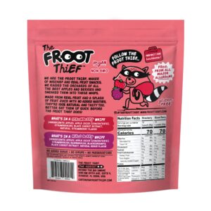 The FROOT Thief Real Fruit Whips 20Ct, 1.06 Lbs