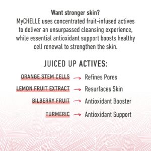 MyChelle Dermaceuticals Fruit Enzyme Cleanser