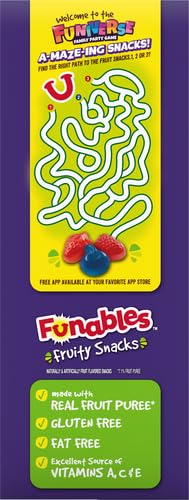 Funables Fruit Snacks, Mixed Berry Fruit Flavored Snacks, 0.8 ounce Pouches (Pack of 40)