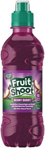 fruit shoot, berry burst, 10.1 fl oz bottles (pack of 24)