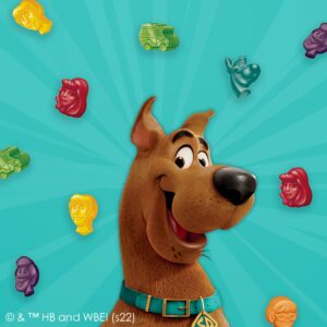 Betty Crocker Scooby Doo Fruit Flavored Snacks, Treat Pouches, Value Pack, 22 ct