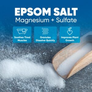 Epsom Salt 5 Lb Bulk Bag USP Grade Unscented with Bamboo Scoop