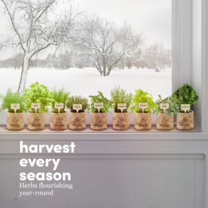 9 Herb Indoor Window Garden Kit - House Plants Seeds - Best Unique Easter Gift Ideas for Women, Mom, Friend, Her, Birthday, Housewarming, Mother - New Home Kitchen Gifts - Live Plant Starter