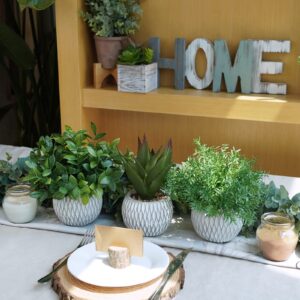 Winlyn 3 Pcs Small Potted Plants Artificial Eucalyptus Rosemary Plants and Aloe Succulent Plant in Gray Geometric Cement Pots for Gifts Table Windowsill Shelf Home Bathroom Indoor Outdoor Green Decor