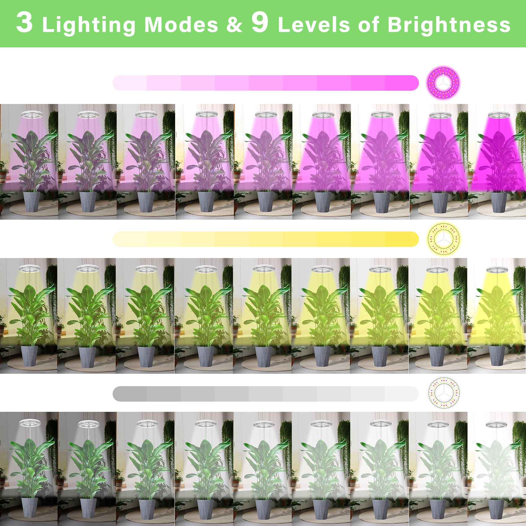 WEEAEEW Grow Light for Indoor Plants, Full Spectrum Plant Lamp 61" LED Tall Halo Grow Lights for Plant with Automatic Timer, 72 LEDs Plant Light Height and Brightness Adjustable