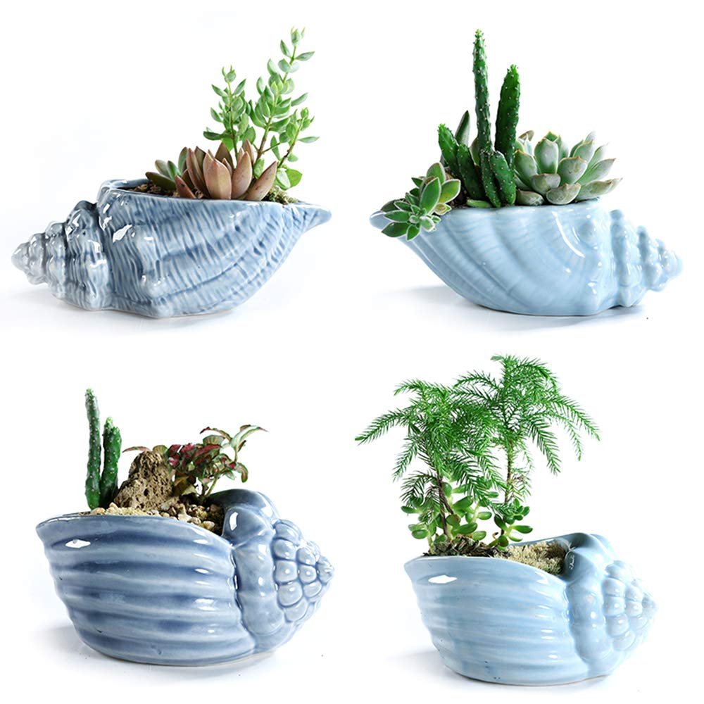 SUN-E 5.5 Inch Blue Conch Ocean Series Ceramic Base Serial Set Succulent Plant Pot Cactus Plant Pot Flower Pot Container Planter with Drainage Hole Gift Idea 4 in Set(Plants Not Included)