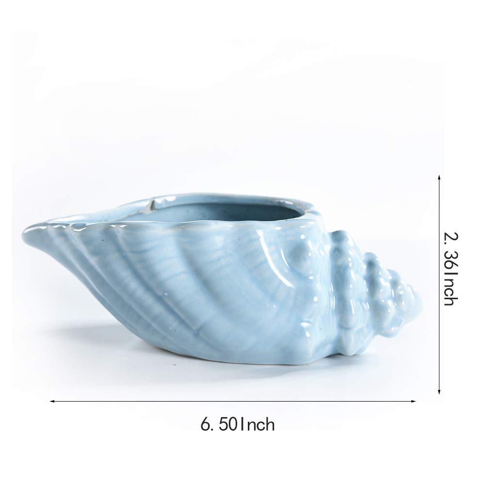 SUN-E 5.5 Inch Blue Conch Ocean Series Ceramic Base Serial Set Succulent Plant Pot Cactus Plant Pot Flower Pot Container Planter with Drainage Hole Gift Idea 4 in Set(Plants Not Included)