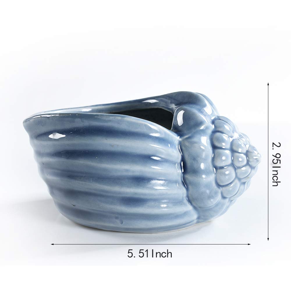 SUN-E 5.5 Inch Blue Conch Ocean Series Ceramic Base Serial Set Succulent Plant Pot Cactus Plant Pot Flower Pot Container Planter with Drainage Hole Gift Idea 4 in Set(Plants Not Included)